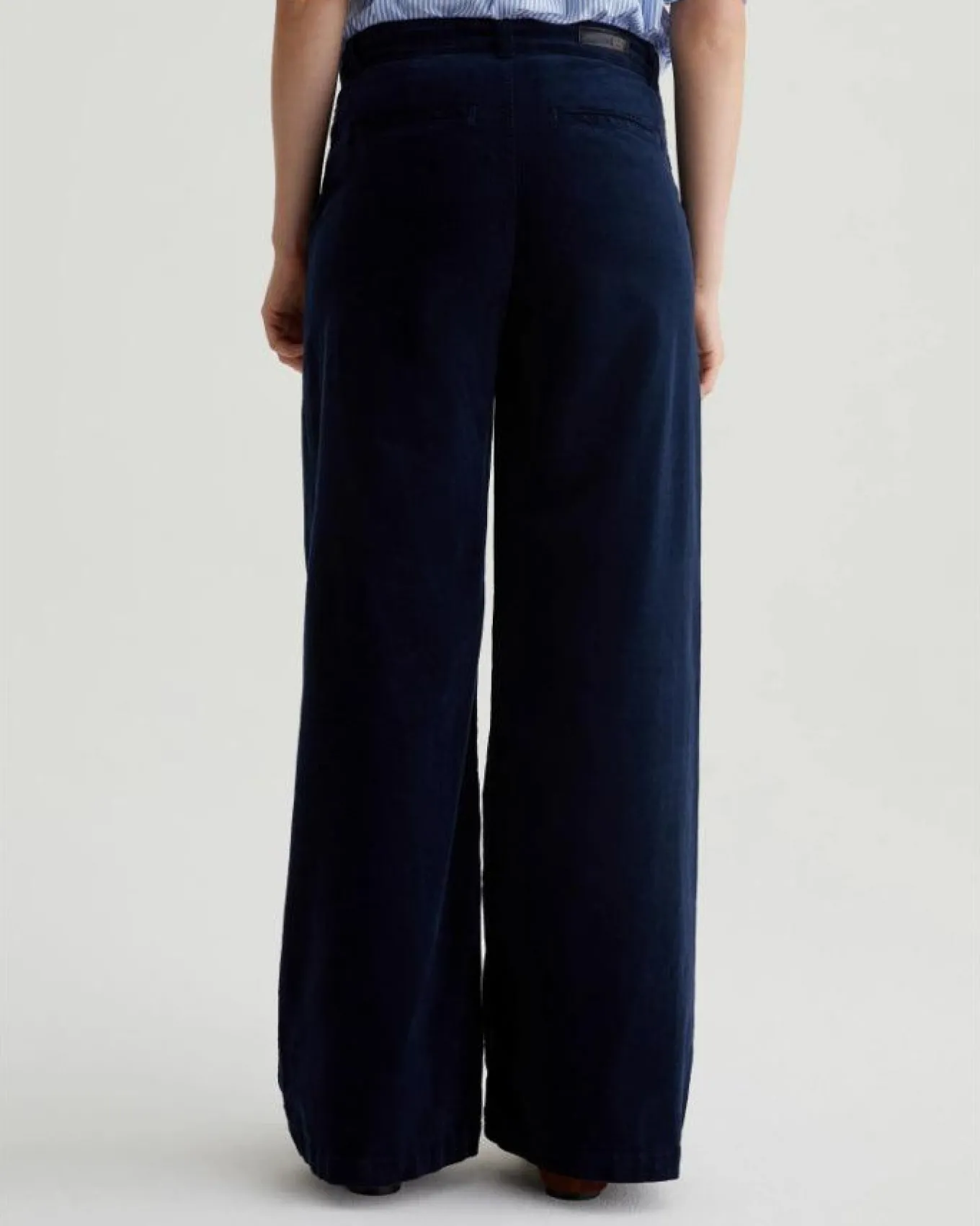 Adriano Goldschmied Jeans Stella Wide Leg Corduroy Palazzo Pant