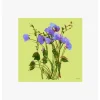 Cinzia Rocca Green Floral Silk Scarf