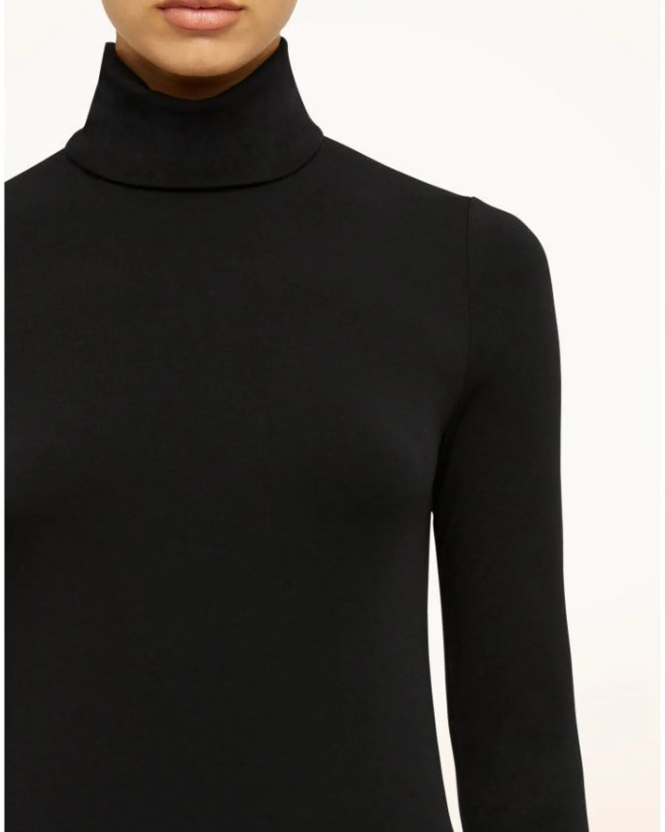 Wolford Aurora Long Sleeve Turtleneck